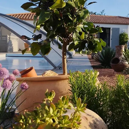 Konukevi Claire & Co D'hotes